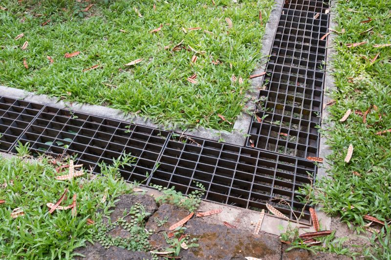 Backyard Drainage Solution