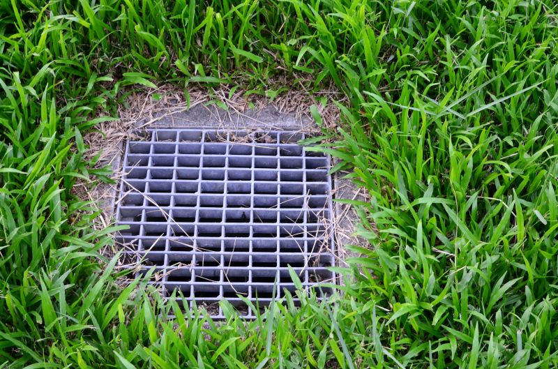 Backyard Drainage Solution